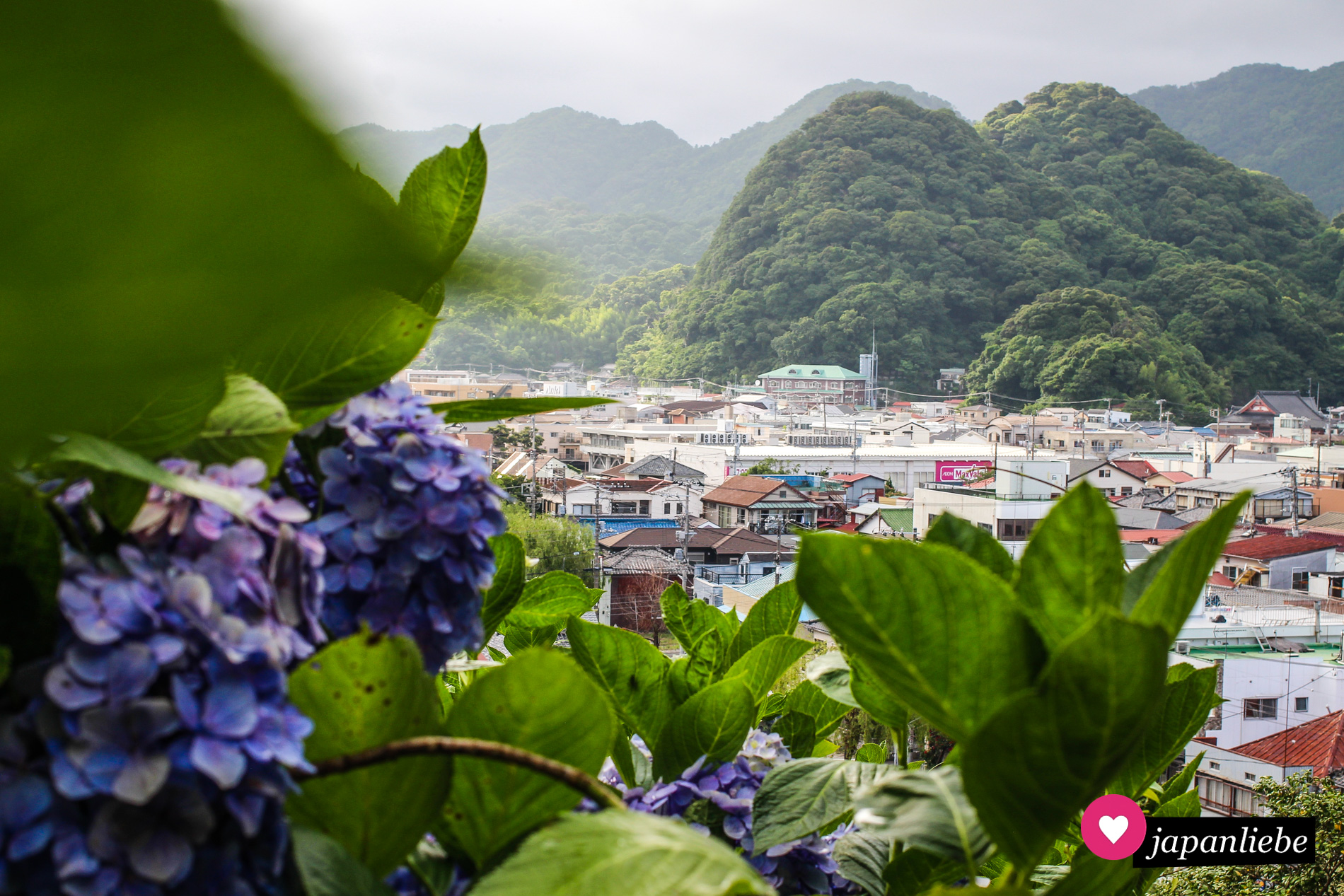Blick vom Shimoda-Park über die Stadt zur Hortensienzeit.